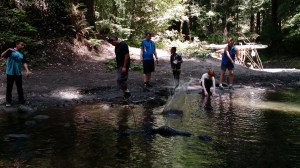 Checking out Aptos Creek in the Forest of Nisene Marks