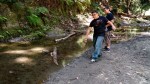 Learning to skip stones in Aptos Creek in the Forest of Nisene Marks
