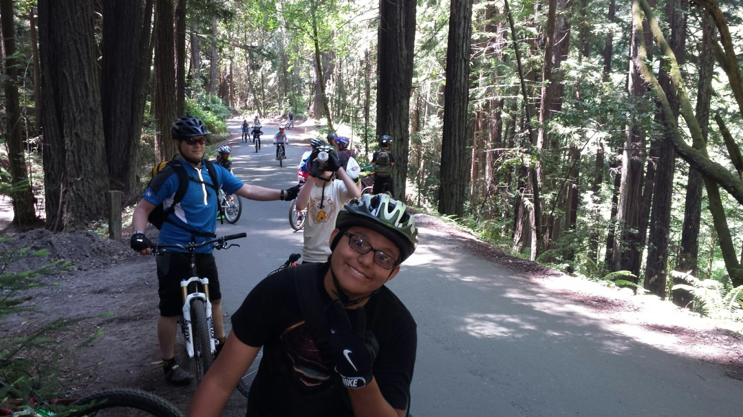 Mountain bike skills area alongside the fire road in the Forest of Nisene Marks